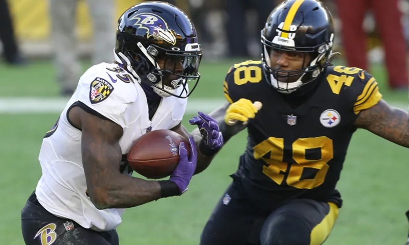 steelers vs baltimore ravens match player stats